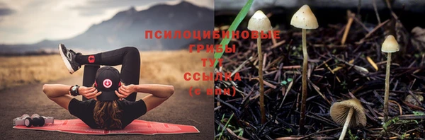 шишки Бабаево