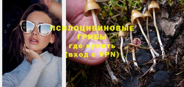 PSILOCYBIN Елизово